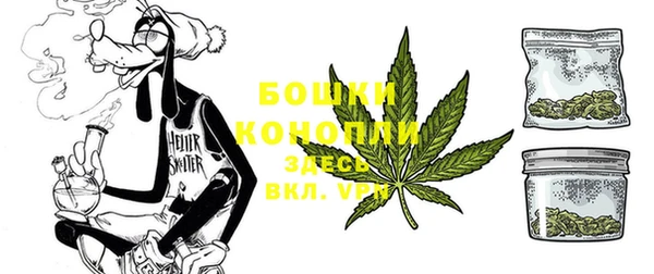 эйфоретик Верея