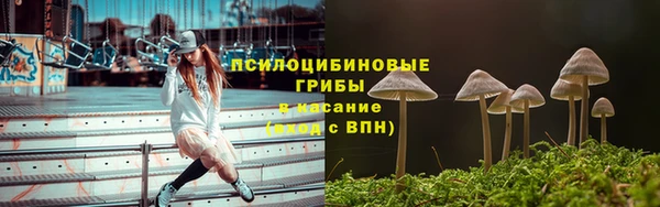 эйфоретик Верея